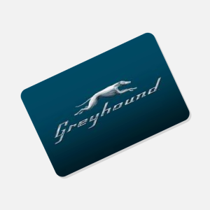 Greyhound